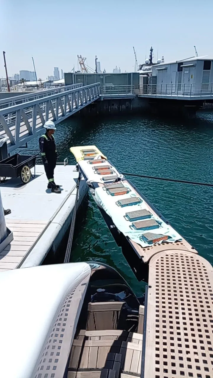 Passerelle gangway and boarding ladder load test