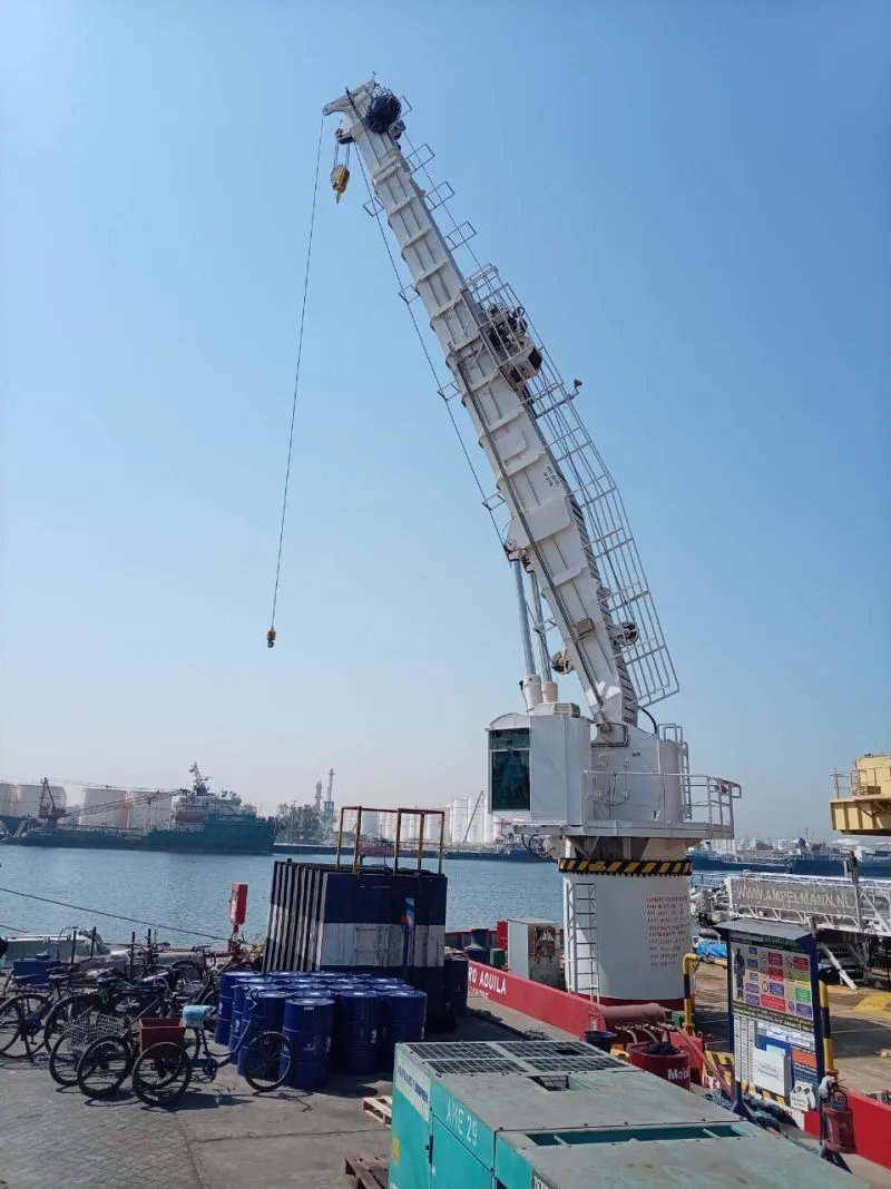 Telescopic boom crane auxiliary hook and man-rider test